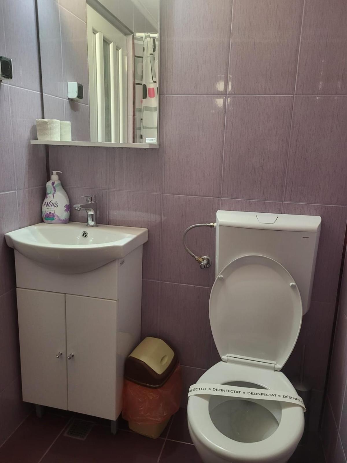 Motel Orion Obrejita ภายนอก รูปภาพ